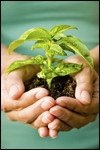 Spiritual Growth Assessment Pack Spiritual Growth Assessment Pack