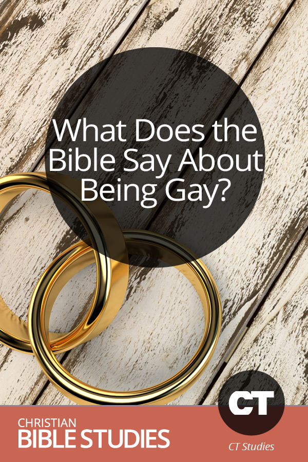 What Does The Bible Say About Being Gay Christian Bible Studies   87039 