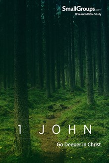 1 John: Go Deeper in Christ
