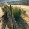 The Immigration Debate The Immigration Debate
