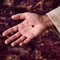 The Uniqueness of Jesus The Uniqueness of Jesus