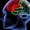 The Foundation of the Evangelical Mind The Foundation of the Evangelical Mind