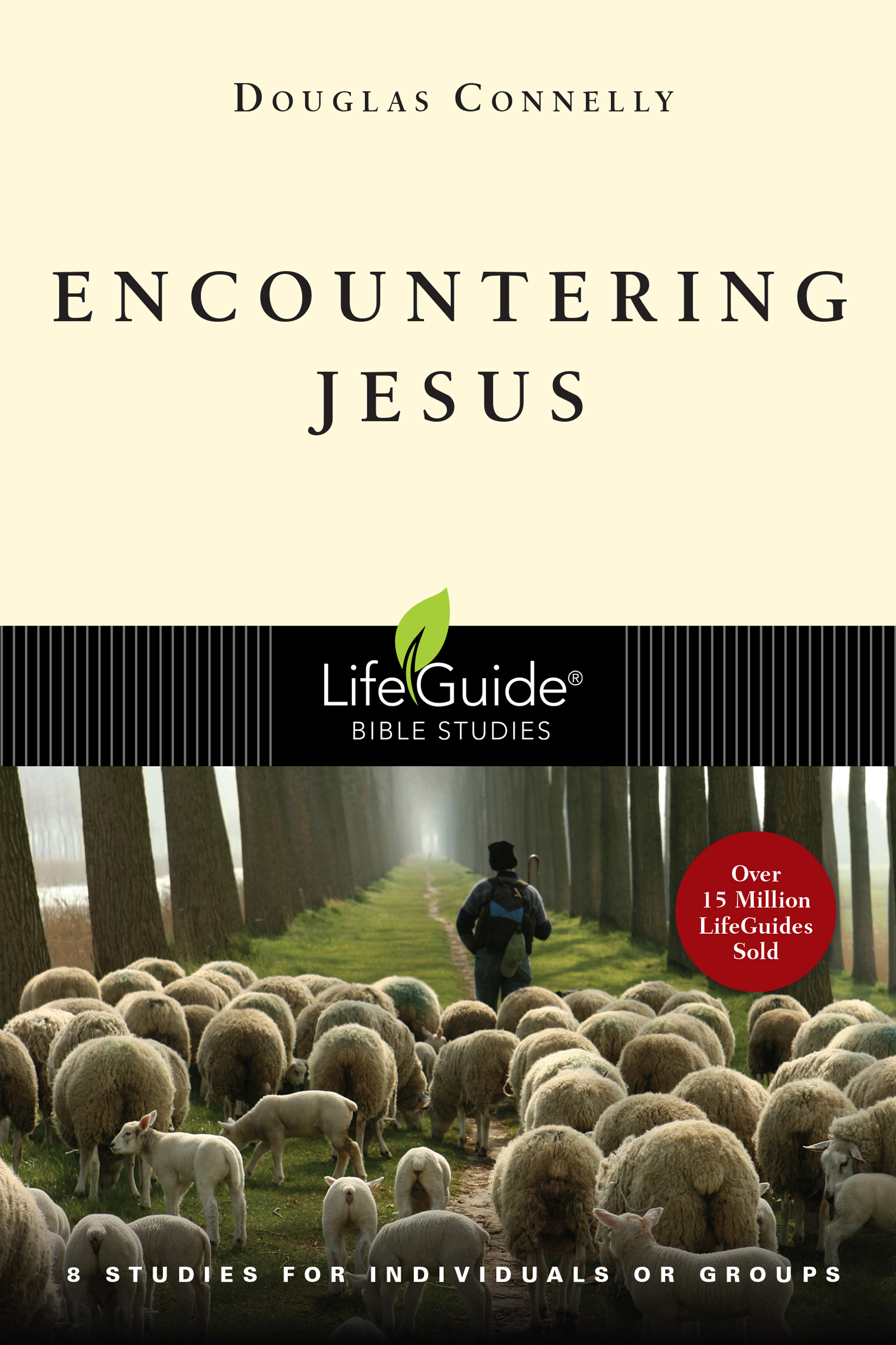 Encountering Jesus | Small Groups