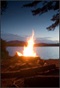 The Burnt Offering: Giving Our All The Burnt Offering: Giving Our All