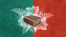 The First Mexican Protestant Loved the Bible The First Mexican Protestant Loved the Bible