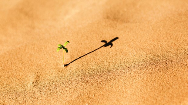 The Undeniable, Irresistible Resilience Of The Small Church The Undeniable, Irresistible Resilience Of The Small Church