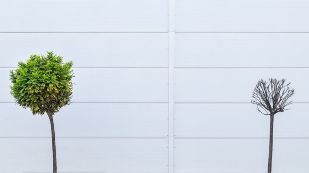 7 Contradictory Cultural Trends – And 7 Ways Christians Can Respond With Integrity 7 Contradictory Cultural Trends – And 7 Ways Christians Can Respond With Integrity