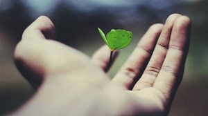 Church Growth: Before Asking “Does It Scale?” We Need To Ask, “Should It Scale?” Church Growth: Before Asking “Does It Scale?” We Need To Ask, “Should It Scale?”