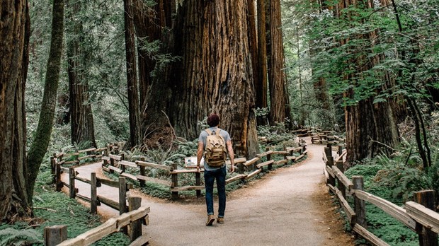 Why I’m Not Pushing For Church Growth Any More Why I’m Not Pushing For Church Growth Any More