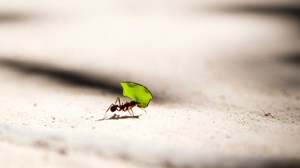 The One Big Counterintuitive Reason Most Churches Stay Small The One Big Counterintuitive Reason Most Churches Stay Small