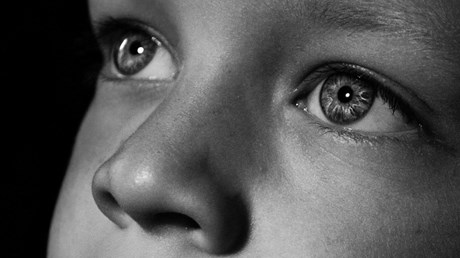Epstein, Abuse, & the Log in Our Own Eye: It's Not Just Out There Epstein, Abuse, & the Log in Our Own Eye: It's Not Just Out There