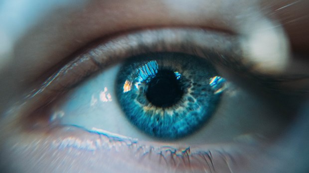 Three Questions to Determine, "Is This True?"