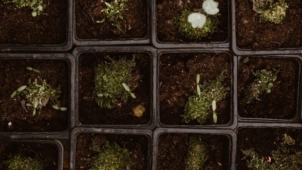 What is the best way to grow spiritually?