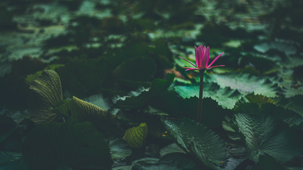 Grief Is Inevitable. It Doesn't Have to Be Inevitably Lonely.