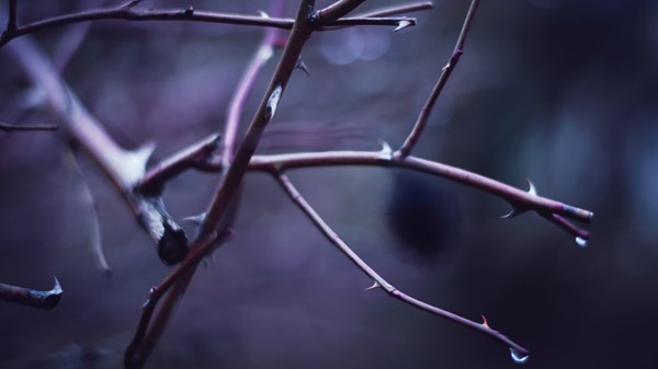 The Bible Is Full of Angry Questions