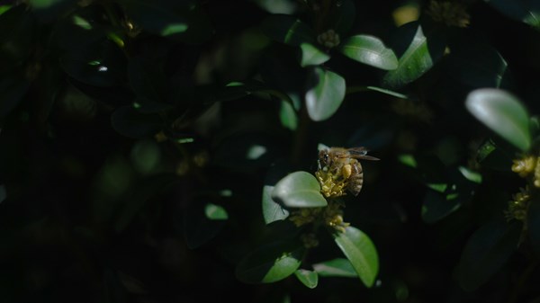 Why We Demand Answers from God After a Tragedy