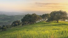 The Best of CT: Creation Care and Environmental Stewardship The Best of CT: Creation Care and Environmental Stewardship